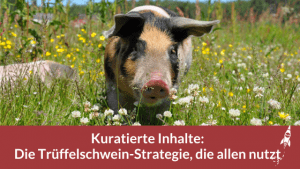 Kuratierte Inhalte: Die Trüffelschwein-Strategie, die allen nutzt